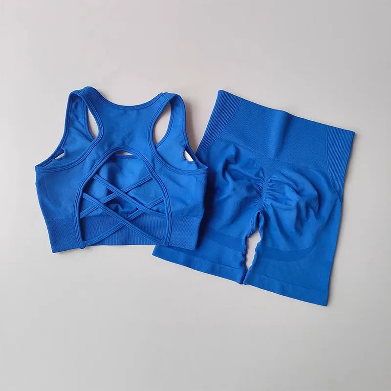 2Piece Seamless Yoga Set Sport Bra High Waist Sports Shorts Gym Fitness Sleeveless Workout Suit Sporstwear The Clothing Company Sydney