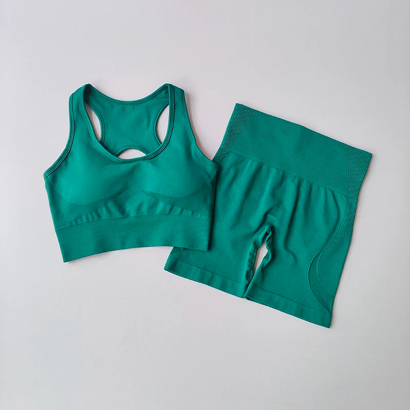 2Piece Seamless Yoga Set Sport Bra High Waist Sports Shorts Gym Fitness Sleeveless Workout Suit Sporstwear The Clothing Company Sydney