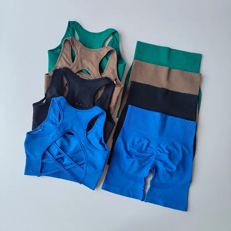 2Piece Seamless Yoga Set Sport Bra High Waist Sports Shorts Gym Fitness Sleeveless Workout Suit Sporstwear The Clothing Company Sydney