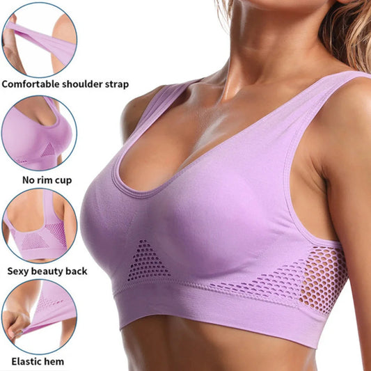 Seamless Mesh Women Sports Bras Fitness Gym Running Underwear Shockproof Bra Wireless Plus Size Crop Top Breathable Yoga Bra The Clothing Company Sydney