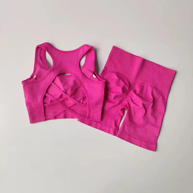 2Piece Seamless Yoga Set Sport Bra High Waist Sports Shorts Gym Fitness Sleeveless Workout Suit Sporstwear The Clothing Company Sydney
