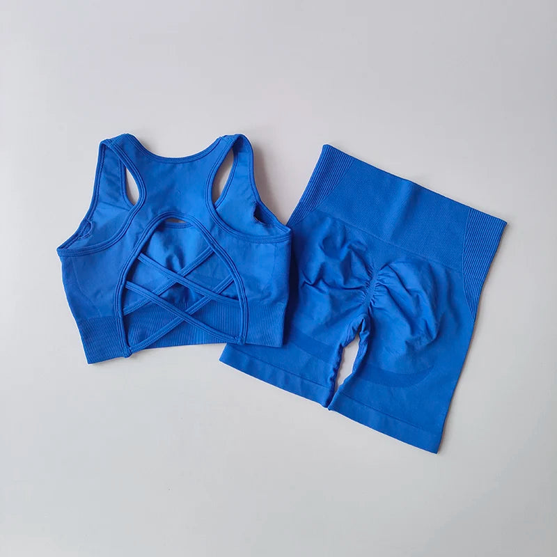 2Piece Seamless Yoga Set Sport Bra High Waist Sports Shorts Gym Fitness Sleeveless Workout Suit Sporstwear The Clothing Company Sydney