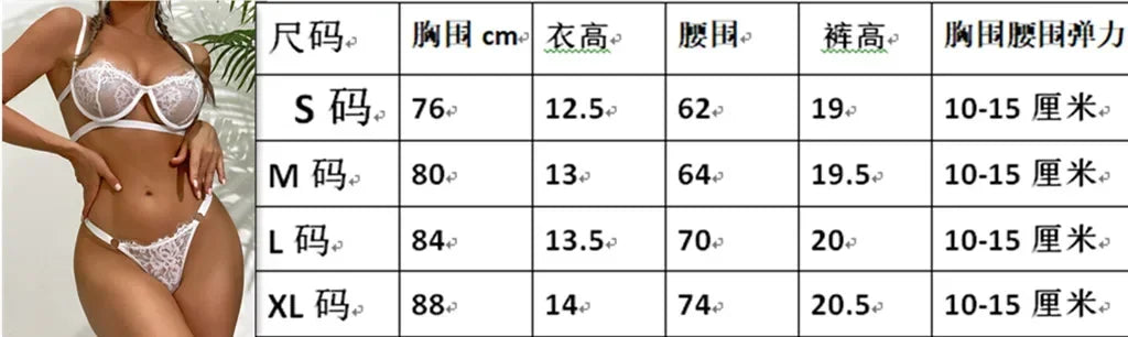 2 Piece Lingerie Woman Lace Transparent Underwear Fairy Embroidery Brief Push Up Bras Set The Clothing Company Sydney