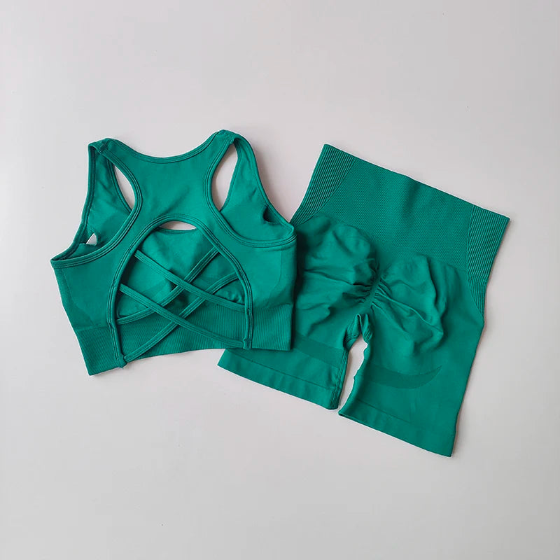 2Piece Seamless Yoga Set Sport Bra High Waist Sports Shorts Gym Fitness Sleeveless Workout Suit Sporstwear The Clothing Company Sydney