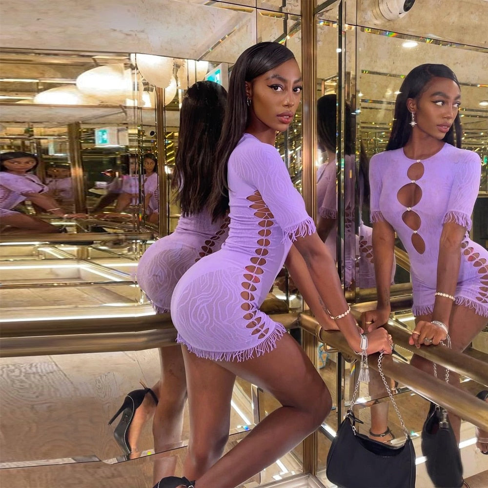 Cut out zebra mesh mini dress by The Clothing Company Sydney featuring transparent panels, bodycon fit, perfect for beach or party wear.