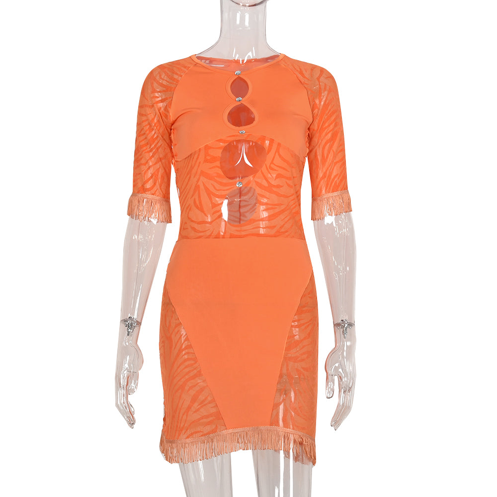 Zebra mesh mini dress by The Clothing Company Sydney featuring cut-out design, transparent fabric, perfect for beach, party, or club wear