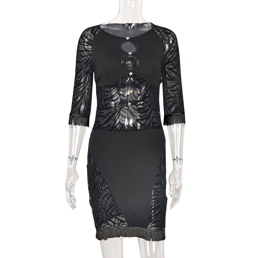 Cut out zebra mesh mini dress by The Clothing Company Sydney, featuring transparent fabric and bodycon fit for beach or party wear.
