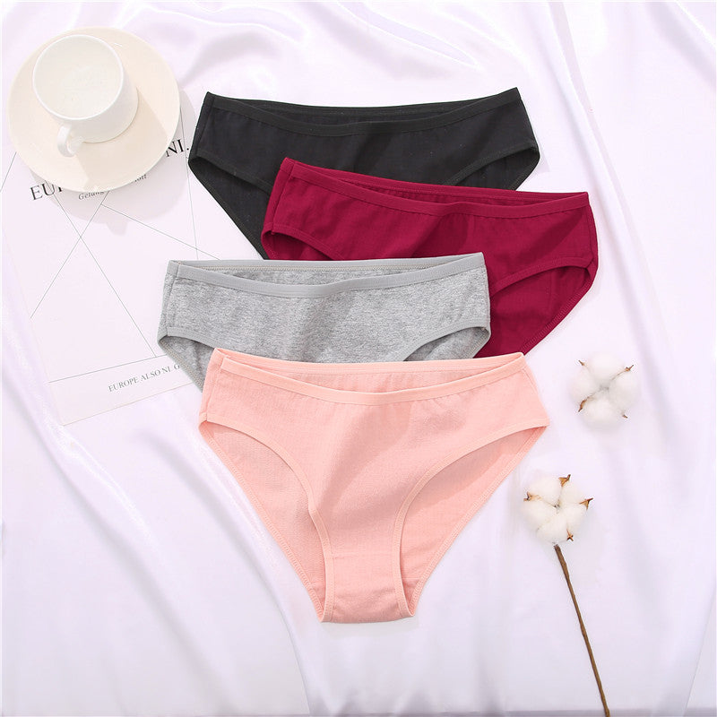 Cotton mix women's panties by The Clothing Company Sydney, comfortable briefs for everyday wear, shown in soft fabric.