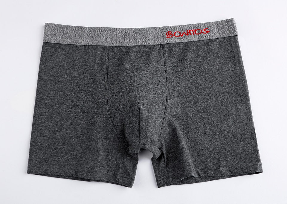 Men's panties Underwear Boxer Shorts Cotton underpants male Slip boxershorts luxury underwear Trunks The Clothing Company Sydney
