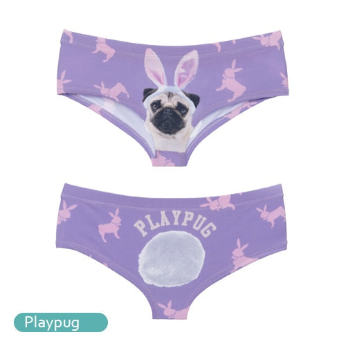 Seamless 3D print cat-themed women's underwear briefs from The Clothing Company Sydney, soft lingerie with playful design