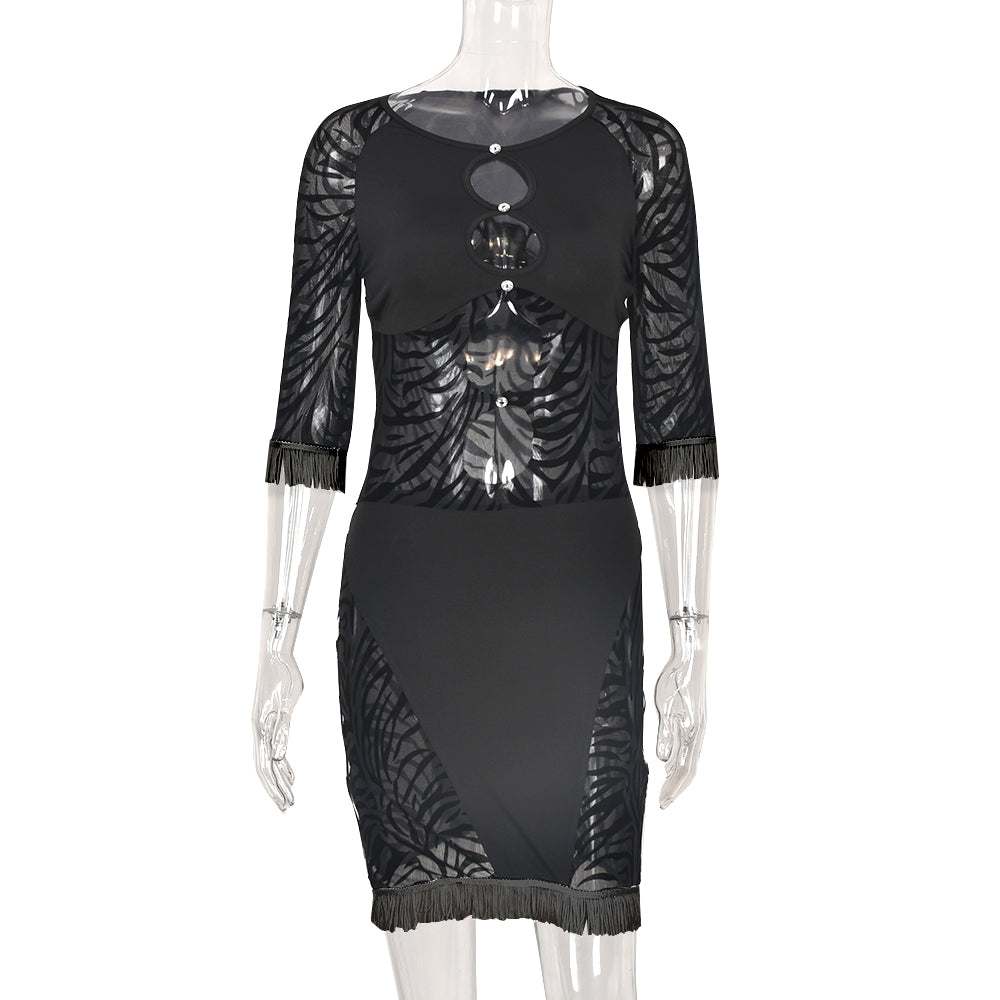 Cut out zebra mesh mini dress by The Clothing Company Sydney featuring transparent fabric, bodycon fit, perfect for beach or party wear.
