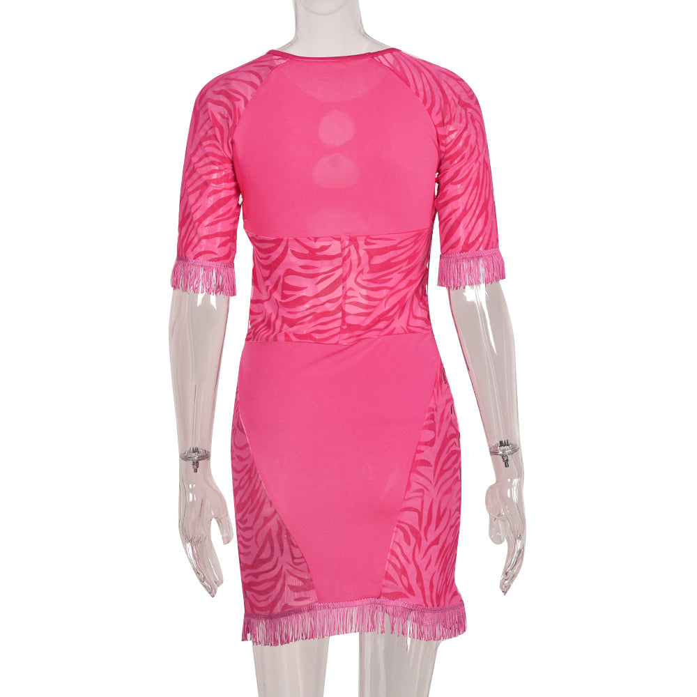 Cut out zebra mesh mini dress by The Clothing Company Sydney, featuring transparent panels perfect for beach, party, or prom nights.