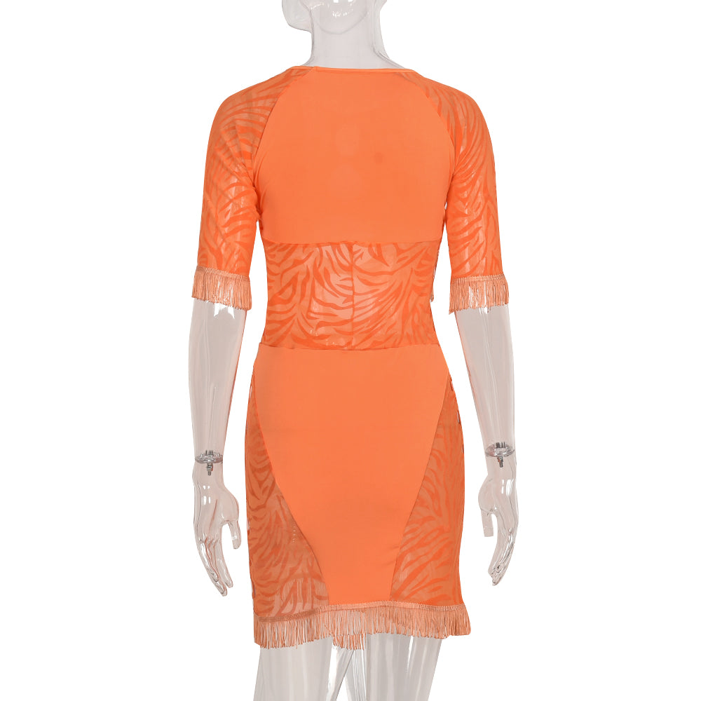 Transparent zebra mesh mini dress by The Clothing Company Sydney featuring cut-out details, perfect for beach, party, or club wear.
