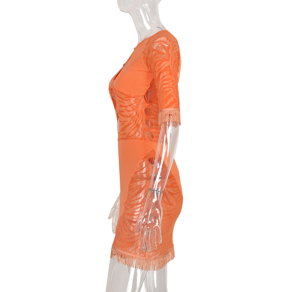 Cut out zebra mesh mini dress by The Clothing Company Sydney featuring transparent fabric, bodycon fit, perfect for beach or party wear