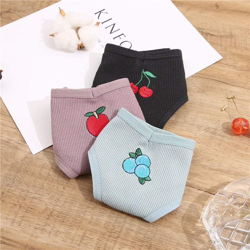 Cotton fruit embroidery thong lingerie from The Clothing Company Sydney, T-back G-string underpants with colorful fruit design.