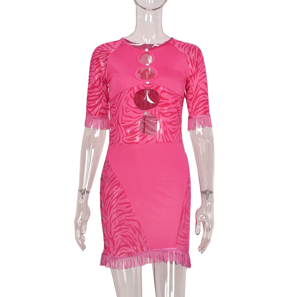 Cut out zebra mesh mini dress by The Clothing Company Sydney, featuring transparent fabric and bodycon fit for beach or party wear.