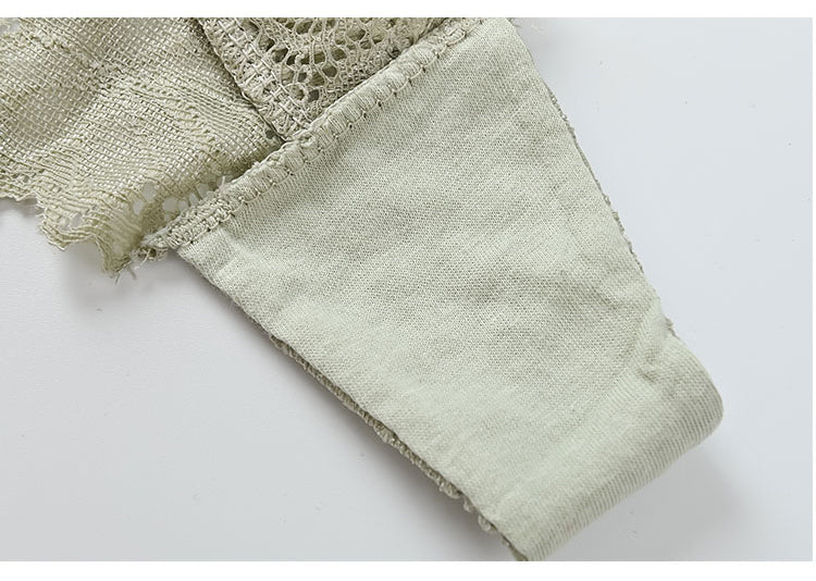 Lace Embroidery Underwear Lingerie T-back Thong Sheer Panties Hollow out Transparent Knickers The Clothing Company Sydney