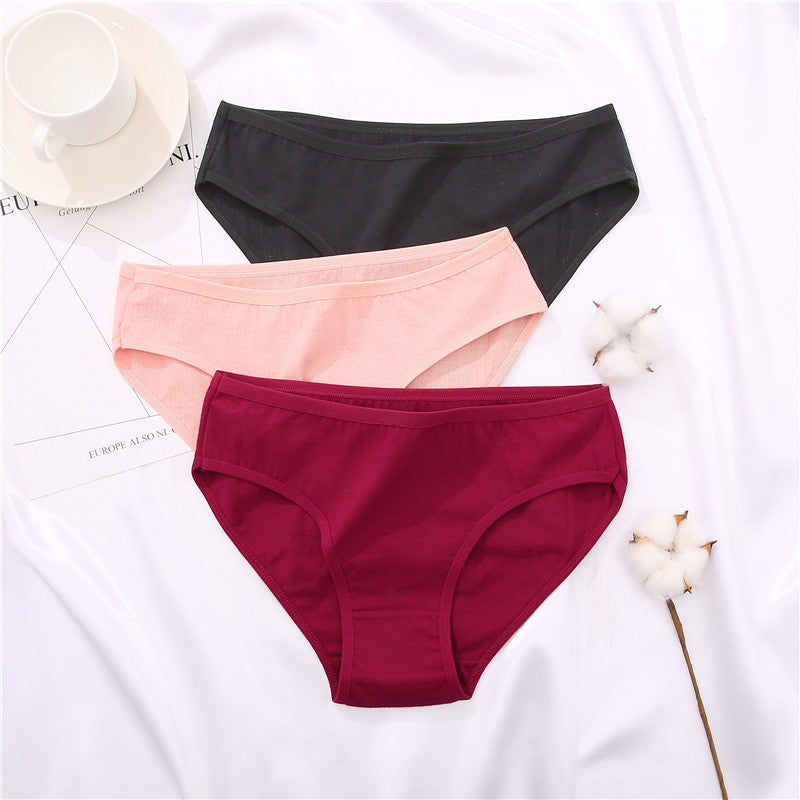 Cotton mix women’s briefs from The Clothing Company Sydney, comfortable underwear with a soft, breathable fabric and classic design.