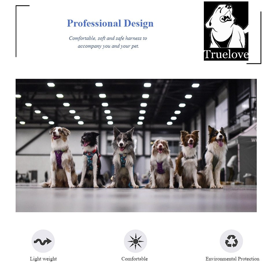 Pet Harness Small Medium Large Split Dog Fashion Outdoor Harness The Clothing Company Sydney