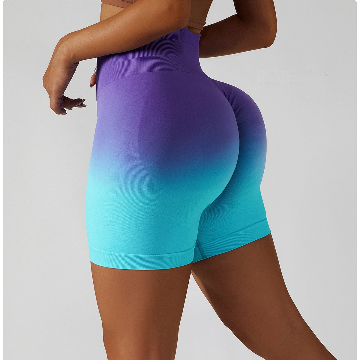 Gradient seamless yoga shorts by The Clothing Company Sydney, high-waist fitness shorts with elastic waistband and butt-lifting design.