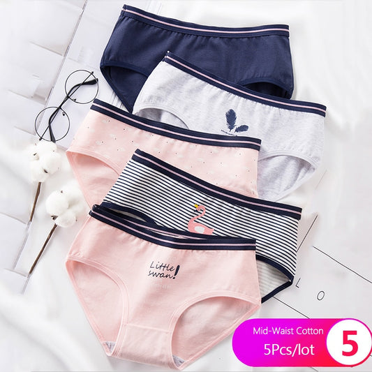 7Pcs/5Pcs Women Panties Comfort Cotton Mix Breathable Underwear Seamless Ladies Low Waist Lingeries Cute Girls Briefs The Clothing Company Sydney