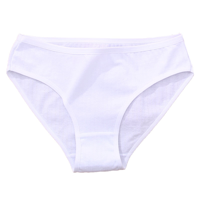 Cotton mix women's briefs by The Clothing Company Sydney, soft and comfortable underpants shown in the image.