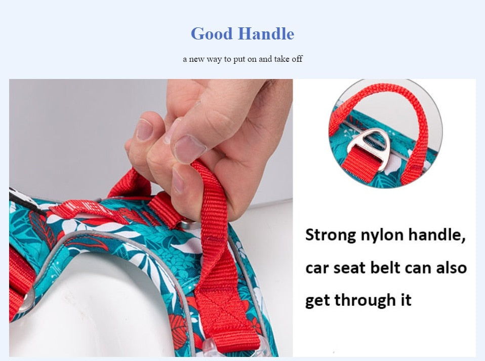 Pet Harness Small Medium Large Split Dog Fashion Outdoor Harness The Clothing Company Sydney