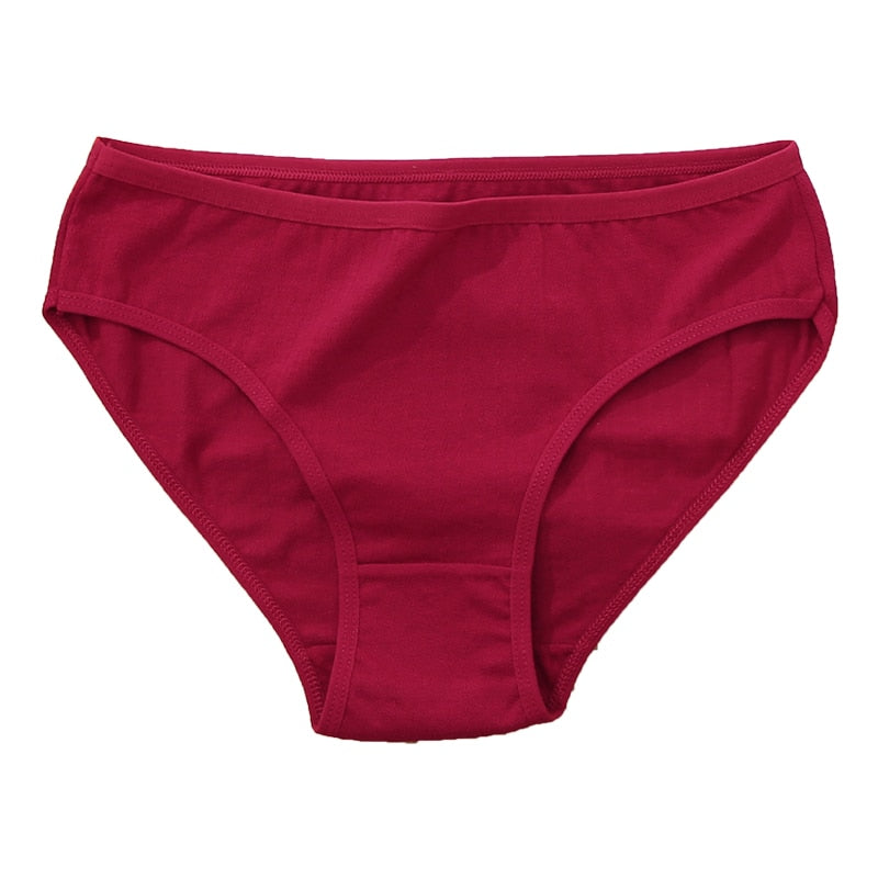 Cotton mix women’s panties from The Clothing Company Sydney, comfortable lingerie brief underwear in neutral colors.