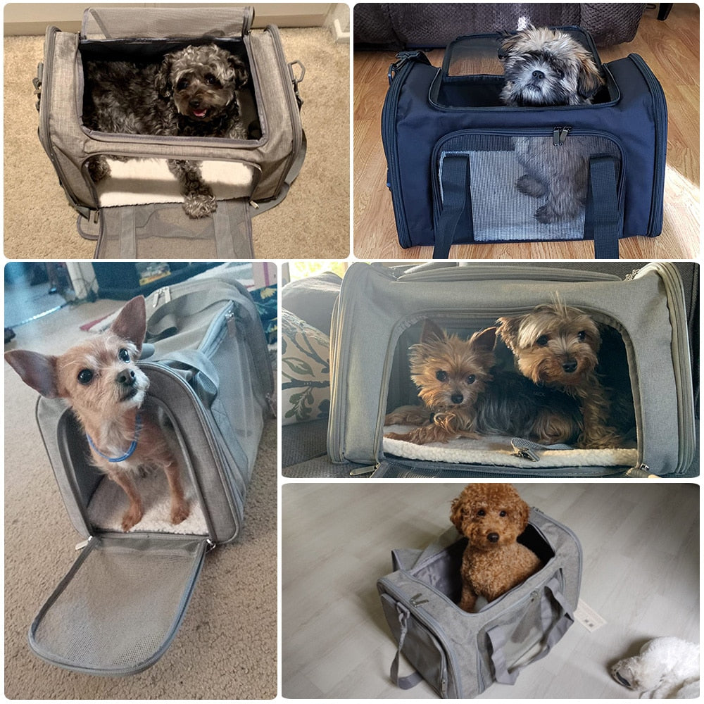 Dog Carrier Bag Soft Side Backpack Cat Pet Carriers Dog Travel Bags Airline Approved Transport For Small Dogs Cats The Clothing Company Sydney
