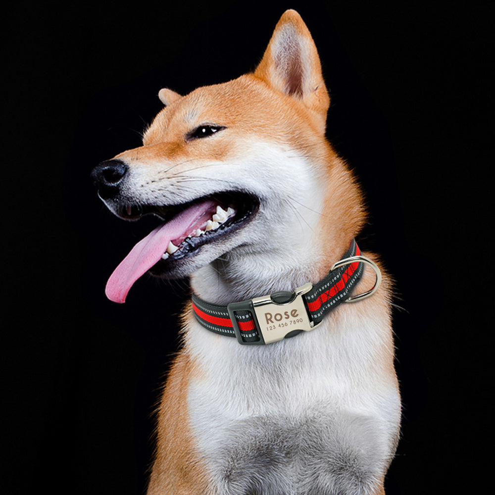 Nylon Personalized Pet Collar Engraved ID Tag Nameplate Reflective for Small Medium Large Dogs The Clothing Company Sydney