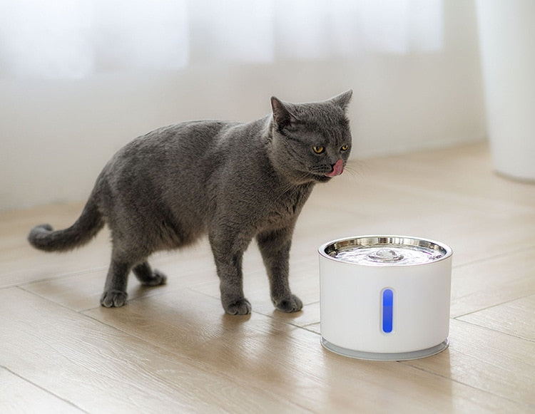 Automatic 2.4L pet water fountain for cats and dogs with LED light, USB power, quiet operation, and dispenser from The Clothing Company Sydney.