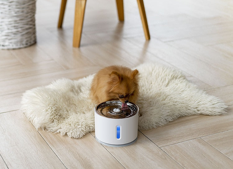 Automatic 2.4L pet water fountain by The Clothing Company Sydney with LED light, USB power, quiet operation, for cats and dogs