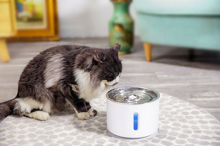 2.4L automatic pet water fountain by The Clothing Company Sydney with LED light, USB power, quiet operation, for cats and dogs.