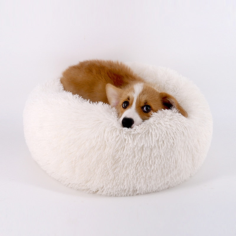 Super Soft Bed For Small Large Dog Bed Cats Sofa Winter Mats House Plush Nest Pet Deep Sleeping Bed The Clothing Company Sydney