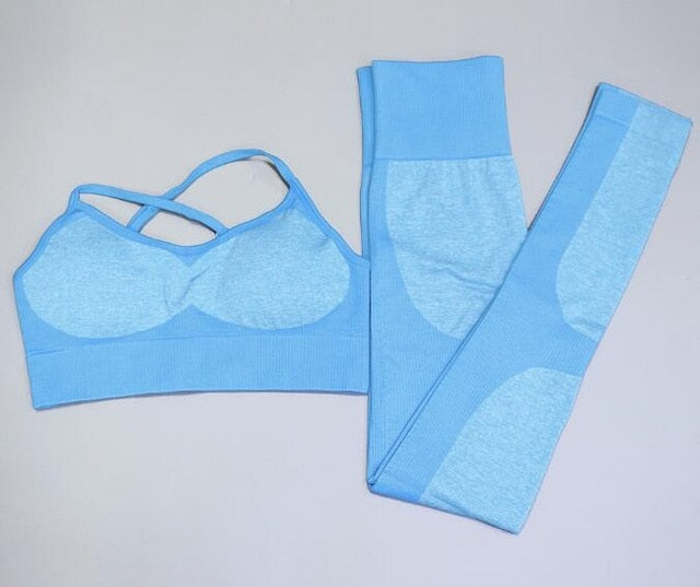 Two-piece seamless yoga fitness set with high-waist leggings and sports bras from The Clothing Company Sydney, suitable for gym and running.
