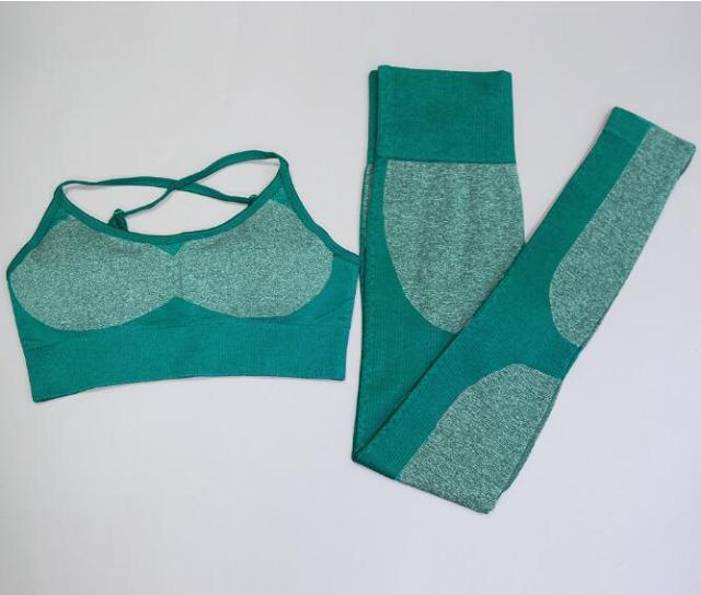 Two-piece seamless fitness sports set with high-waist leggings and sports bras, ideal for gym, yoga, and running workouts.