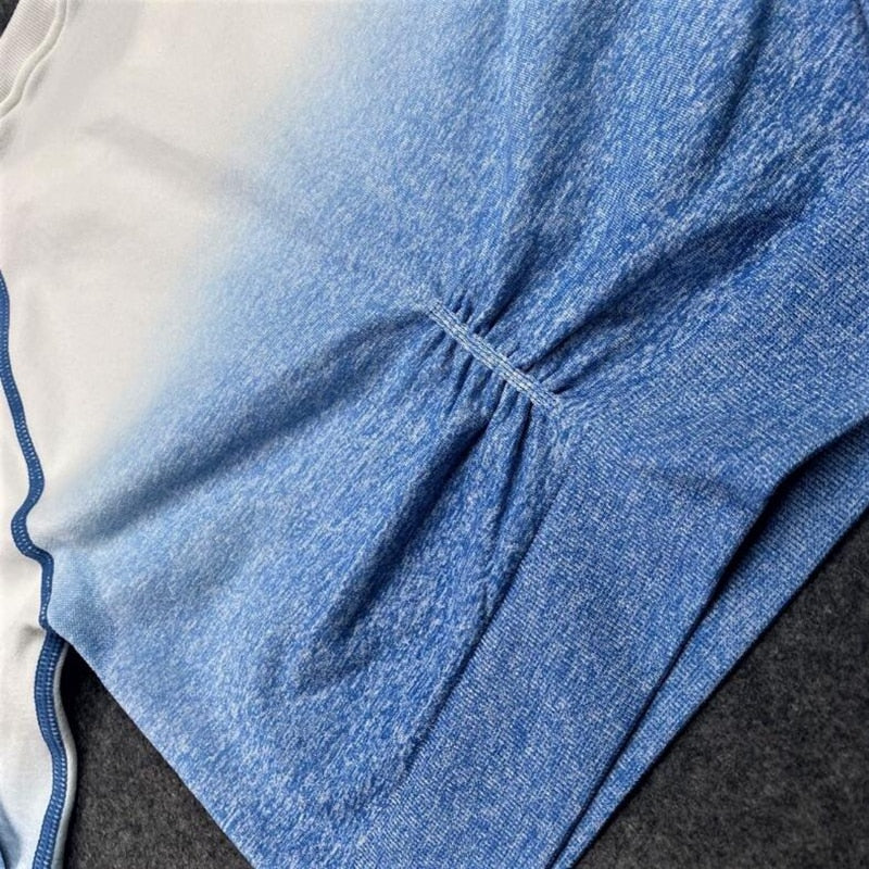 2 Piece Seamless Yoga Gym High Waist Ombre Leggings Shirts Top Suit Long Sleeve Fitness Workout Sport Sportswear Set The Clothing Company Sydney