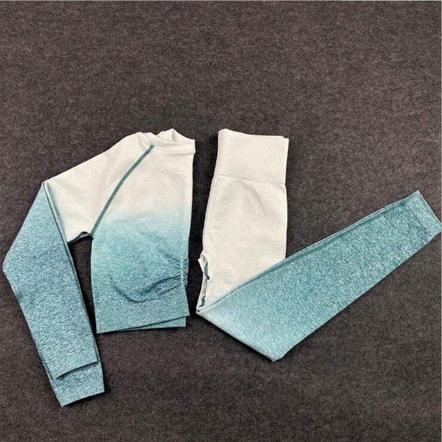 2 Piece Seamless Yoga Gym High Waist Ombre Leggings Shirts Top Suit Long Sleeve Fitness Workout Sport Sportswear Set The Clothing Company Sydney