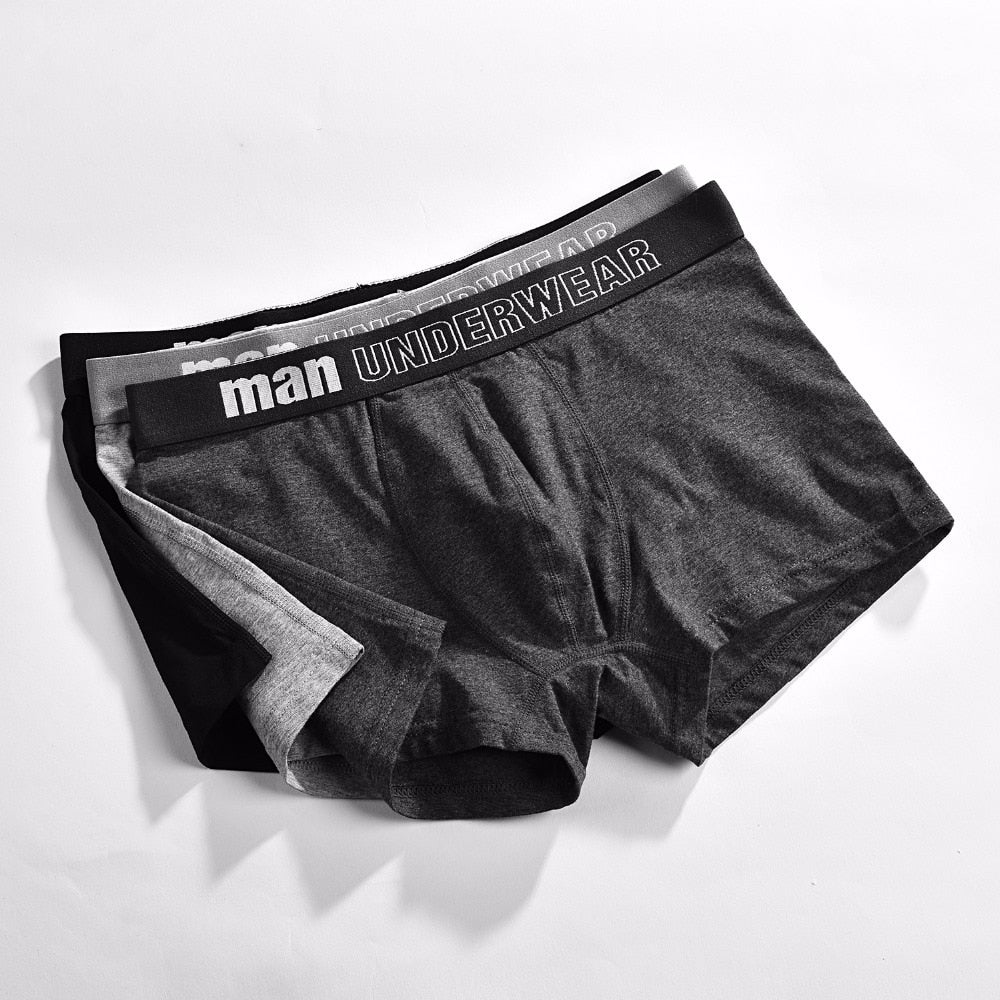 Four pairs of men's cotton boxer briefs from The Clothing Company Sydney, showing breathable, solid-colored, flexible underpants.