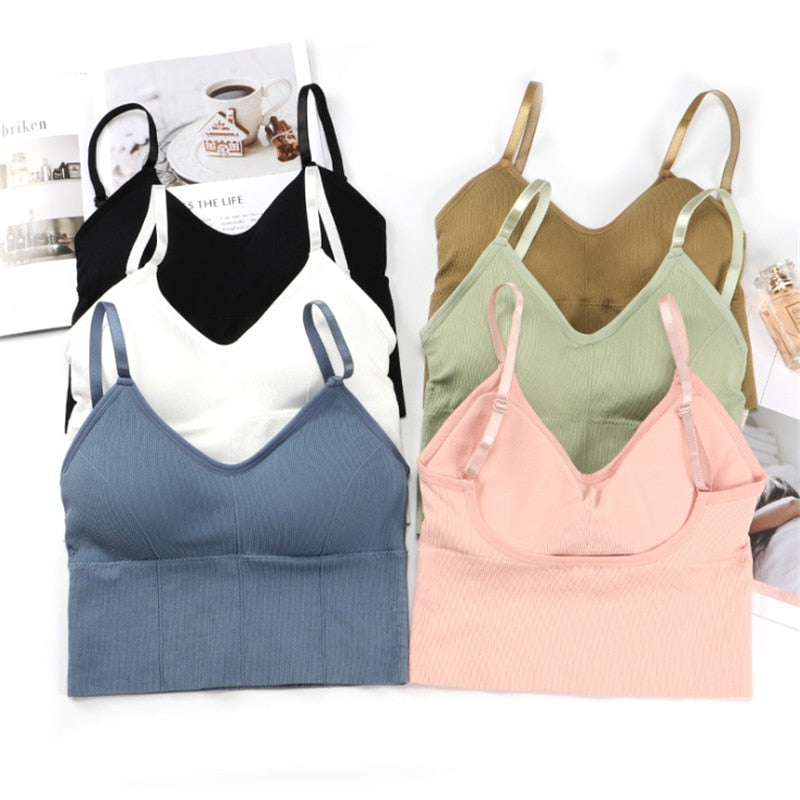 Seamless wireless bralette from The Clothing Company Sydney featuring push-up design and cozy back lingerie style.