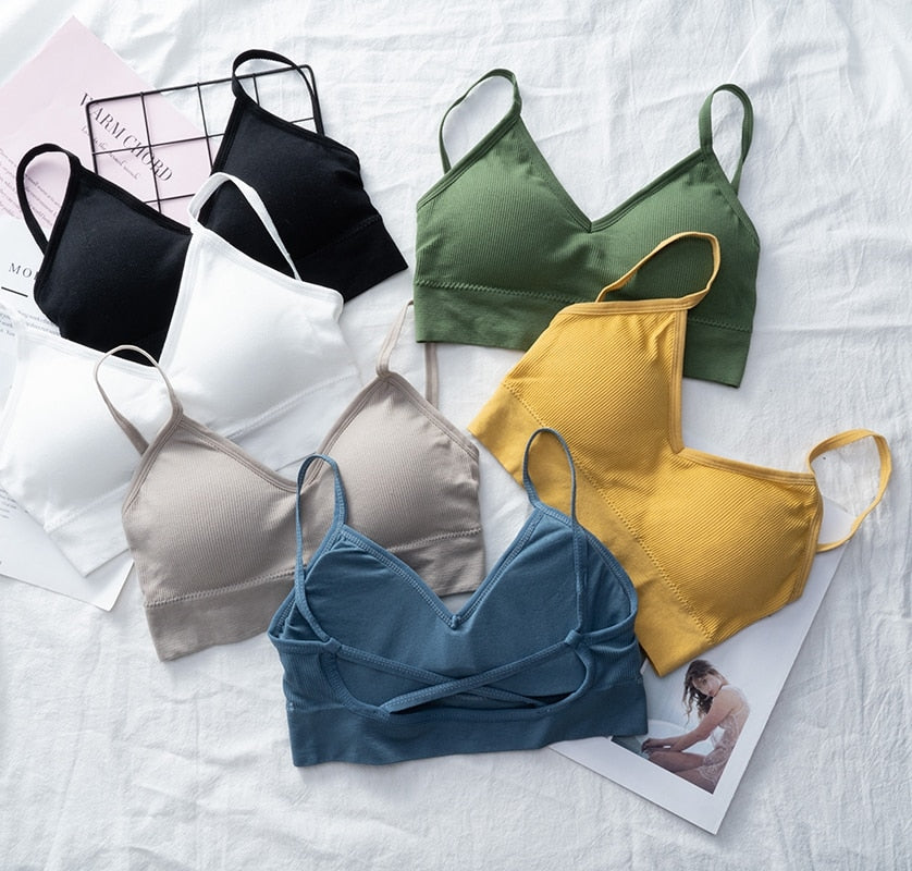 Seamless backless crop top and bralette from The Clothing Company Sydney, featuring padded, cropped, and lingerie-style design.