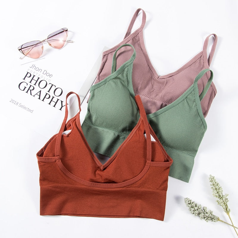 Backless seamless crop top and bralette by The Clothing Company Sydney, featuring padded cups and fitted lingerie design.