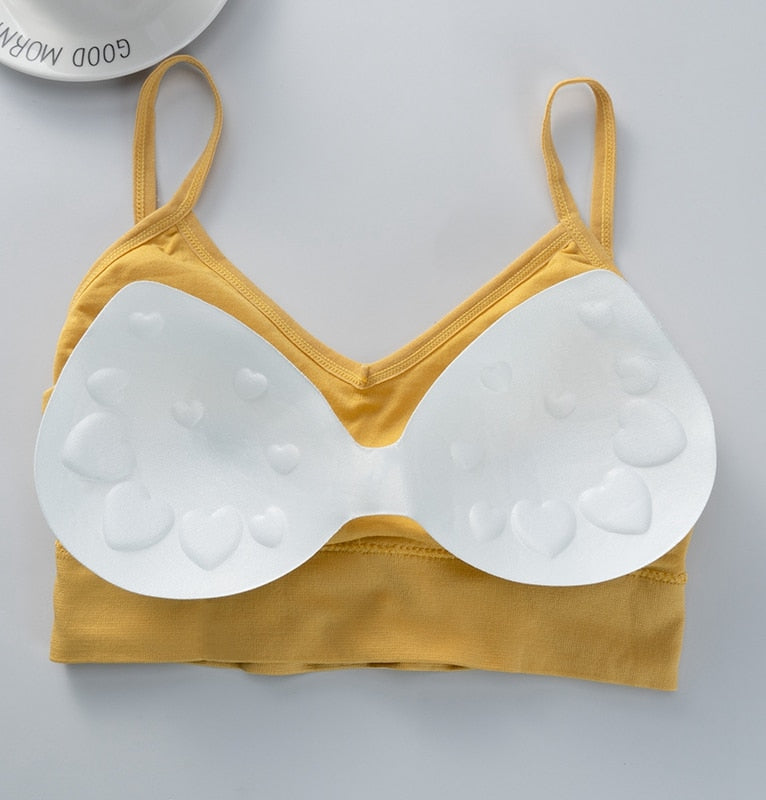 Backless seamless crop top bra from The Clothing Company Sydney, featuring padded cups and a snug, comfortable fit.