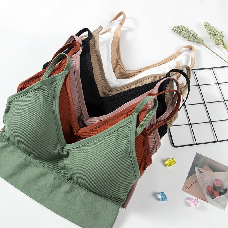 Seamless backless crop top bra from The Clothing Company Sydney, padded lingerie with a tube top design and supportive fit.