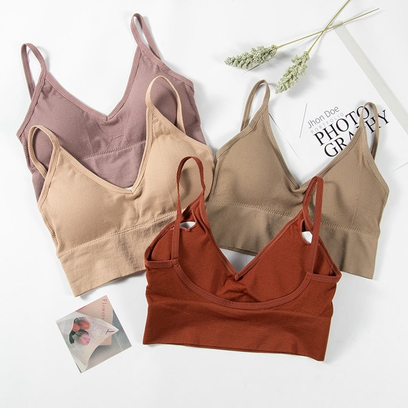 Seamless crop top bra from The Clothing Company Sydney, backless, padded, and cropped lingerie suitable for sports and casual wear.