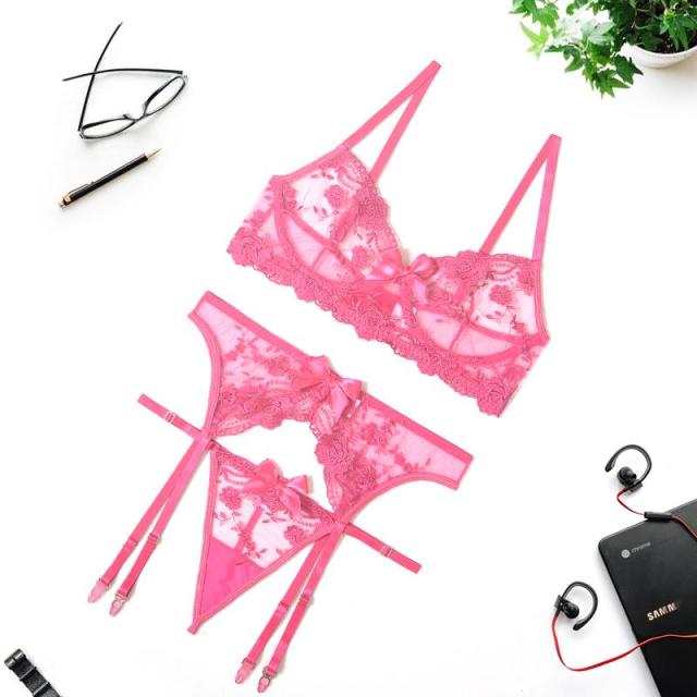 Transparent lace lingerie set with push-up bra, garters, and thong from The Clothing Company Sydney, featuring see-through design.