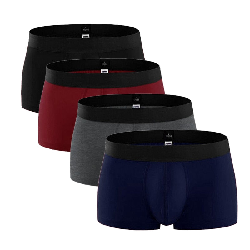 Four men's cotton boxer shorts in a pack, featuring comfortable trunks and briefs from The Clothing Company Sydney.
