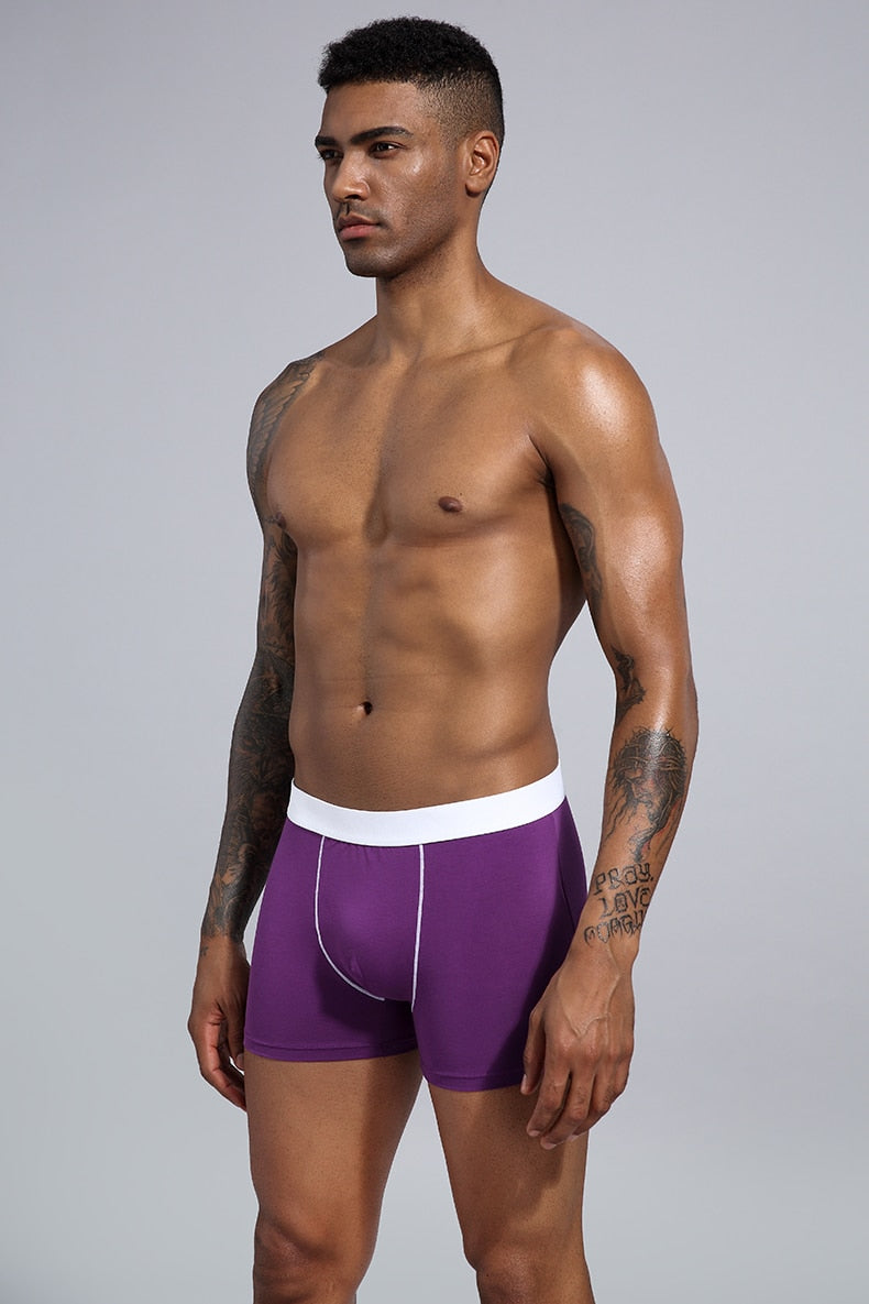 Four men's cotton boxer shorts from The Clothing Company Sydney, packaged as a pack of trunks and boxers.