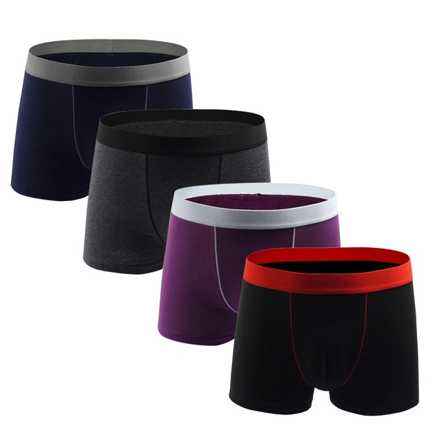 Set of four men's cotton boxer shorts from The Clothing Company Sydney, featuring comfortable elastic waistbands and classic fit.