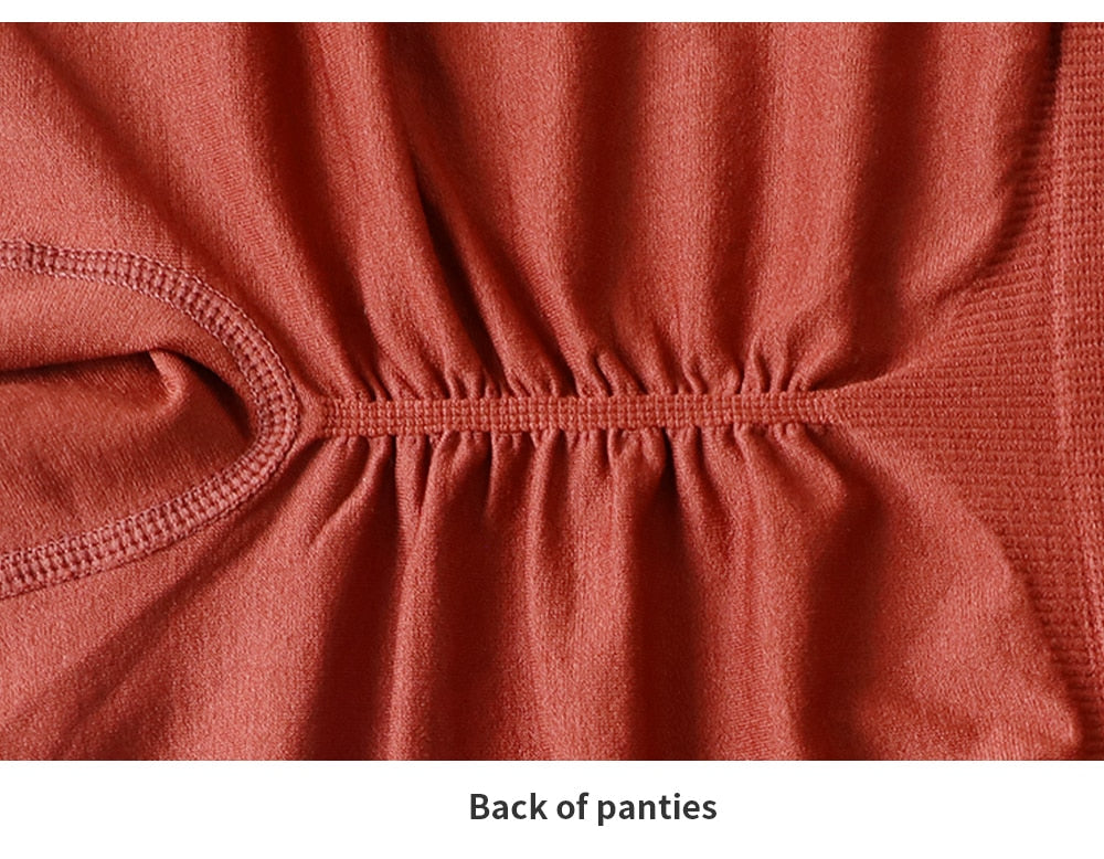 2 Piece Yoga Set Gym Set Workout Seamless Leggings Sports Bra Suit Female Clothing High Waist Shorts Set The Clothing Company Sydney